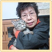 ���{	millefille����