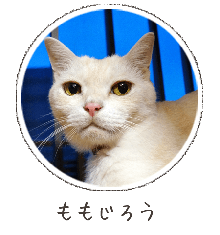 ももじろう