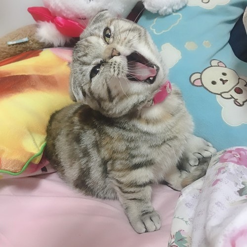 ����