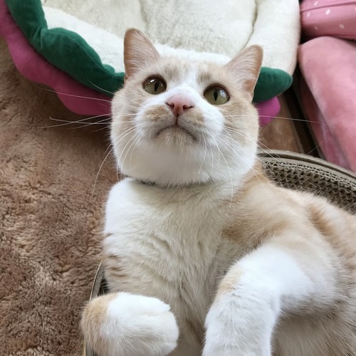 ����