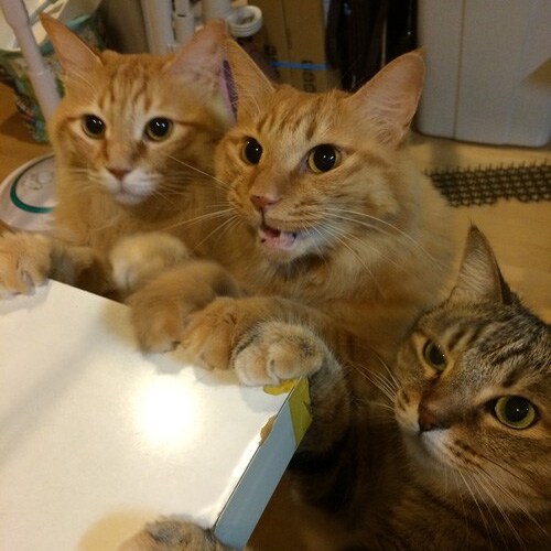 ����