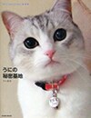 うにの秘密基地
