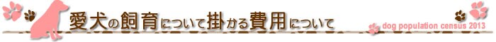 愛犬のデータ