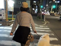こじこじさん
