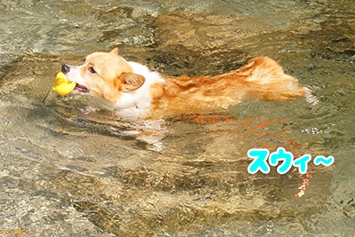 �Ղ�����Ղ��Ղ��삠����