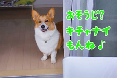�߂��ɐ������Ȃ��Ă��g����I�^���N���������@