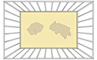 大きさは子犬が軽く2頭入り、成犬時に1頭入るもの