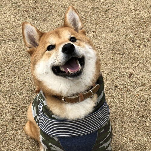 佳作