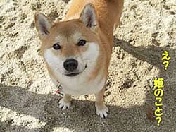 え?姫のこと?