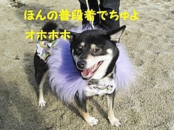 ほんの普段着でちゅよ オホホホ