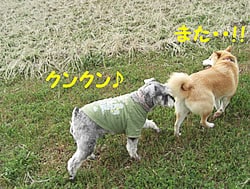 クンクン♪