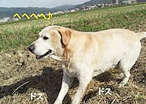 へへへへ♪