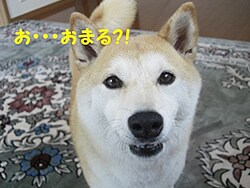 ���E�E�E���܂�H�I