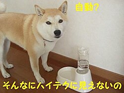 ����ȂɃn�C�e�N�Ɍ����Ȃ���