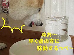 �ʂ��`������̕��Ɉړ�������؁`