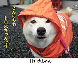 �g���΂����