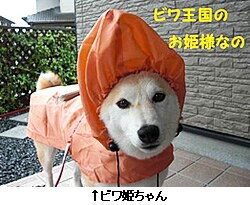 �r���P�����