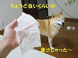 ���傤�Ǘǂ����炢��