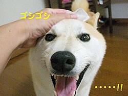 �S�V�S�V