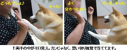 両手の中がモロ見え。カンじゃなく、思い切り視覚で当ててます。