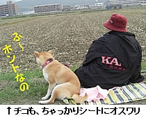 �`�R���A���������V�[�g�ɃI�X����