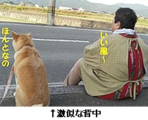 激似な背中
