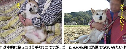 基本的に抱っこは苦手なチコですが、ばーたんの抱擁は満更でもないみたい♪