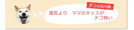 �d�C���@�}�}�̃L�b�X���@�`�R�|��