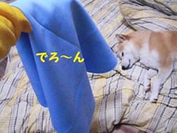 ���Ȃ�ċz���C�A�S���Ȃ�