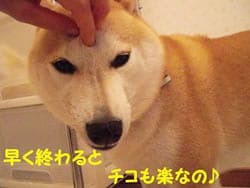 �����Ɖ������Đ������z�������Ă�����