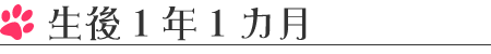 生後1年1カ月