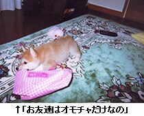 ↑「お友達はオモチャだけなの」