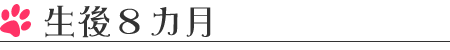 生後8カ月