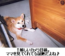 ↑嬉しいカメラ目線。ママを見てくれてる証拠だよね♪