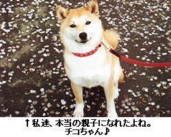 ↑私達、本当の親子になれたよね。チコちゃん♪