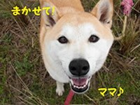 これからもずっと、チコちゃんとの生活を楽しみながら録を残していければいいな♪
