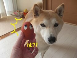 ���߂��A���܂������B