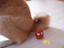 �������ŏE��Ȃ�������B