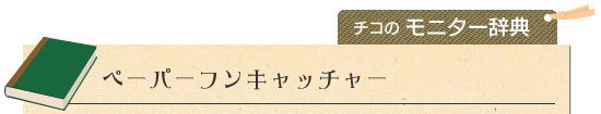 �y�[�p�[�t���L���b�`���[