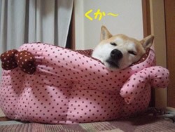 くか〜