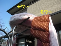 モワ〜