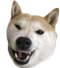 �`�R