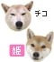 �`�R�ƕP
