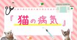Original.png?jp.co