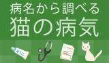 Original.png?jp.co