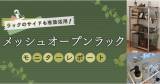 Original.png?jp.co