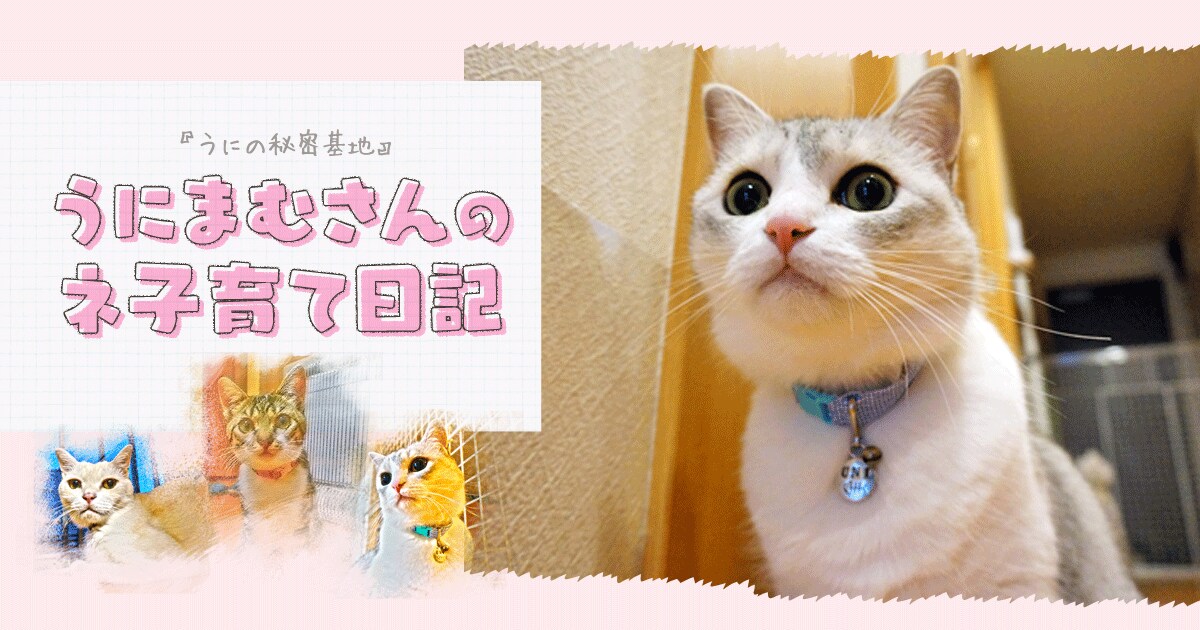 Original.png?jp.co