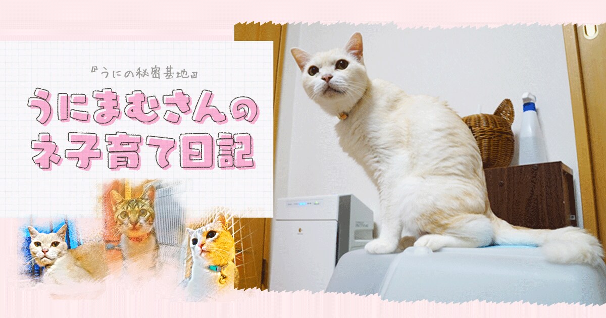 Original.png?jp.co