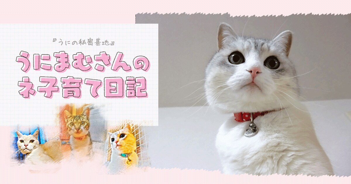 Original.png?jp.co