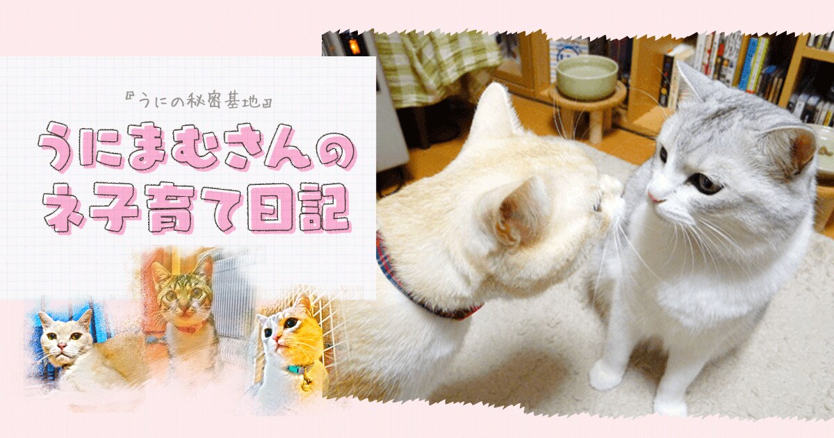 Original.png?jp.co